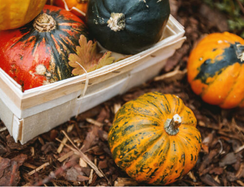 Fall Is a Great Time To Join The Berrien Springs Garden Club!