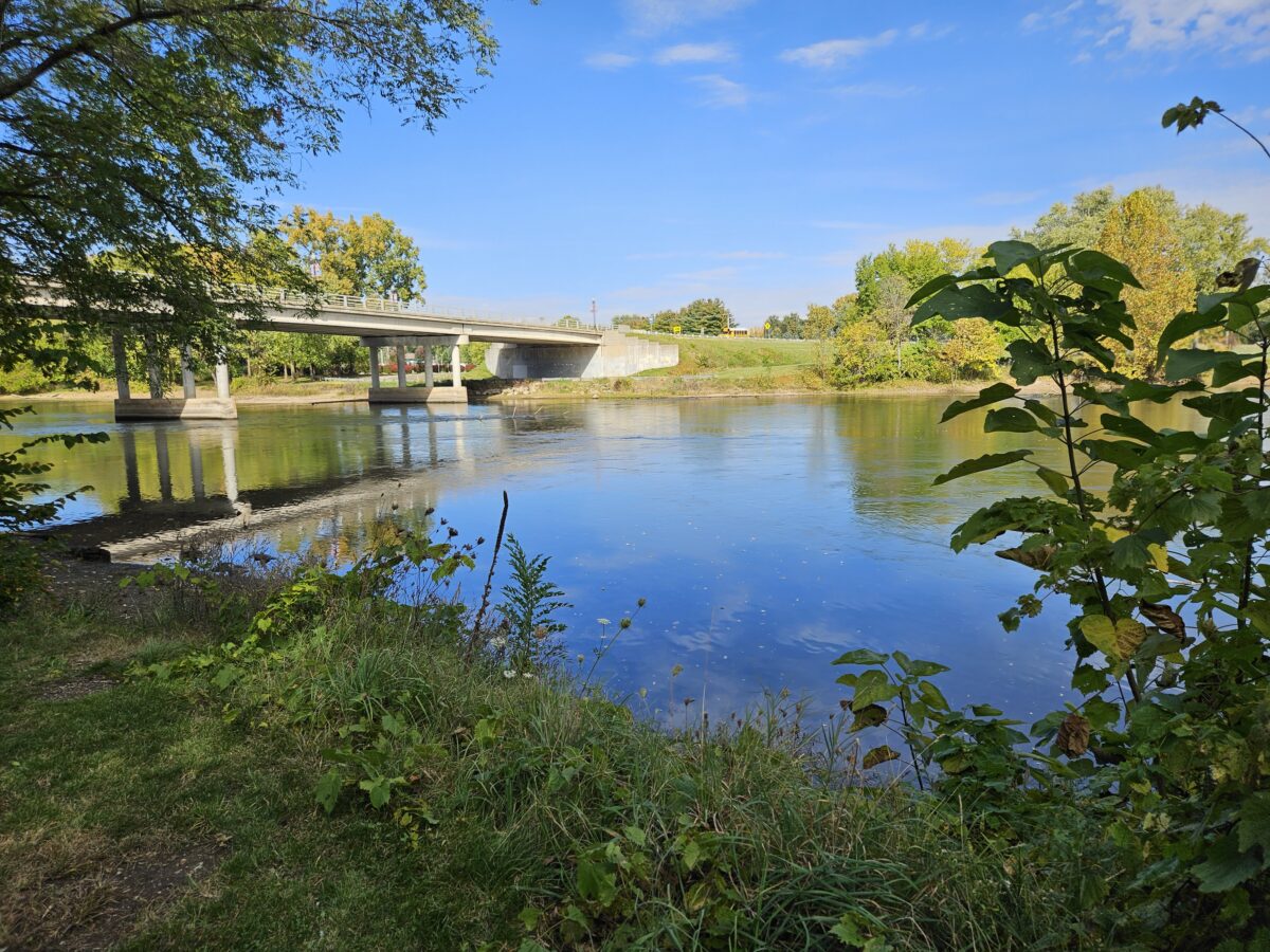 Contact the Village of Berrien Springs